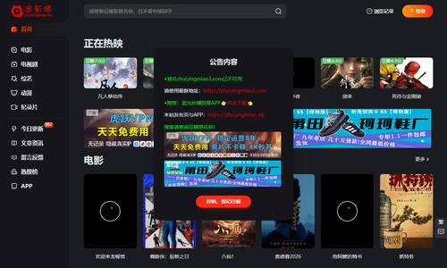 追影猫