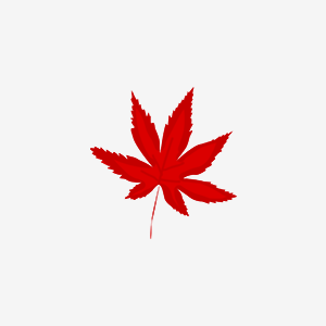 红叶影院